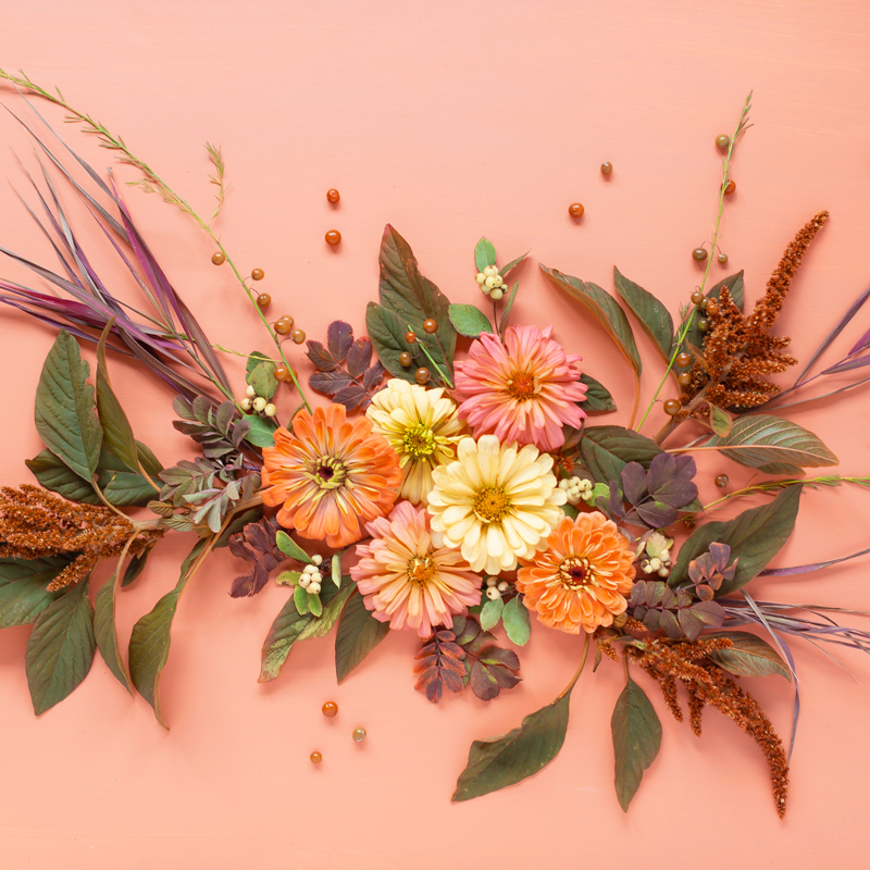 DIGITAL BLOOMS NOVEMBER 2020 | FREE DESKTOP WALLPAPER | Free Fall 2020 Floral Desktop Wallpapers featuring Alberta grown Zinnias and Red Amaranth along with foraged Western Snowberries, Wood’s Rose Leaves, Broomsedge Bluestem and Garden Asparagus Foliage and Berries on an Pantone Autumn/Winter 2020/2021 Peach Nougat background | Free Fall Floral Wallpapers | Boho Flower Fall 2020 Tech Wallpapers | The Best FREE Fall Tech Wallpapers | Free Floral Tech Wallpapers Autumn 2020 // JustineCelina.com
