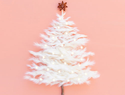 DIGITAL BLOOMS DECEMBER 2020 | FREE DESKTOP WALLPAPER | A Pampas Grass Christmas Tree with Fairy Lights, a Star Anise Tree Topper and a Natural Stem Base | Boho Holiday Decor | Boho Christmas Wallpaper | Modern Boho Christmas Tree | Pampas Grass Christmas Tree | Modern Holiday Tech Wallpaper | Boho Christmas Tree | Free Christmas Digital Wallpaper | Free Holiday Wallpaper | Pampas Grass Christmas Tree Wallpaper | Winter Wreath Download | JustineCelina Digital Blooms // JustineCelina.com