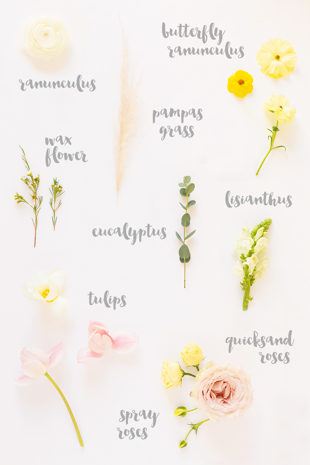 A Pastel Easter Flower Arrangement flower list | Spring flowers identified with script typography on a white background | Calgary Lifestyle Blogger // JustineCelina.com