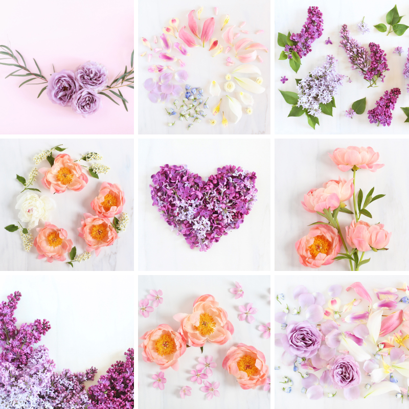 June Digital Blooms Roundup 11 Free