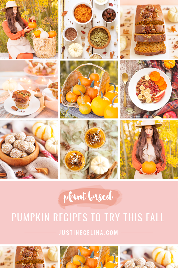 Plant Based Pumpkin Recipes to Try This Fall {Dairy Free, Gluten Free, Refined Sugar Free} | Recipe Roundup featuring Pumpkin Spice Steel Cut Oat Breakfast Bowls, Plant Based Pumpkin Pie Energy Bites, Gluten Free Pumpkin Turmeric Muffins, Gluten Free Mapled Pumpkin Chai Bread and a Spicy Pumpkin Persimmon Smoothie | Easy Vegan Pumpkin Recipes | Healthy Vegan Pumpkin Recipes | Vegan Pumpkin Snacks | The best plant based pumpkin recipes | Calgary Plant Based Food Blogger // JustineCelina.com