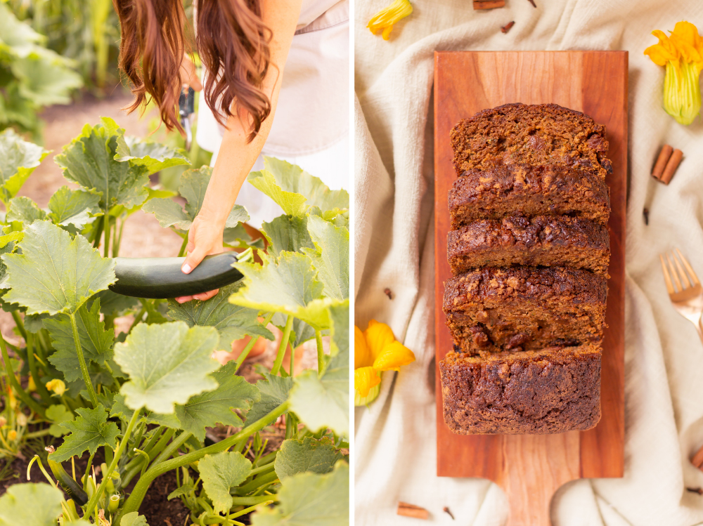 Cinnamon Raisin Zucchini Bread {Dairy Free, Gluten Free, Refined Sugar Free} | A woman harvesting green zucchini in an abundant country garden alongside a loaf of sliced zucchini bread | Best Baking Recipes for Overgrown Garden Zucchini | What to do with large zucchini | July garden harvest | Zone 3b Garden | JustineCelina’s Country Garden 2021 | Calgary Canada Plant Based Lifestyle and Garden Blogger // JustineCelina.com